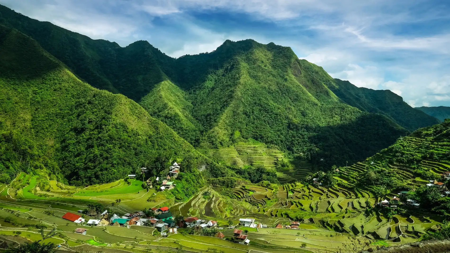 Banaue Rice Terraces